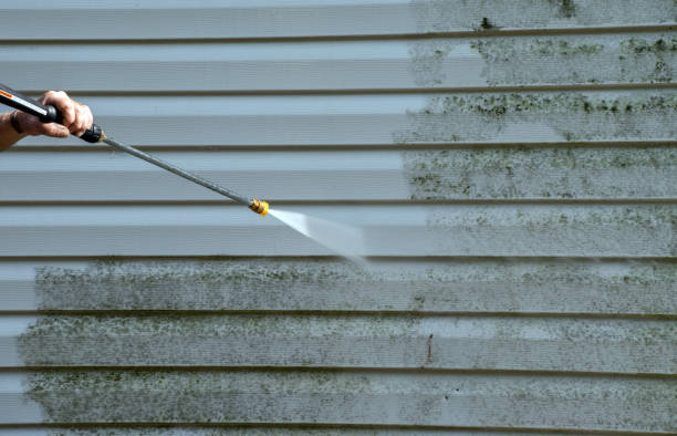 Best Pressure Washing Siding  in Kankakee, IL