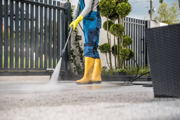 Best Roof Pressure Washing  in Kankakee, IL